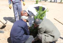 گزارش تصویری مراسم روز درخت کاری و تقدیر از نیروهای باغبانی دانشگاه